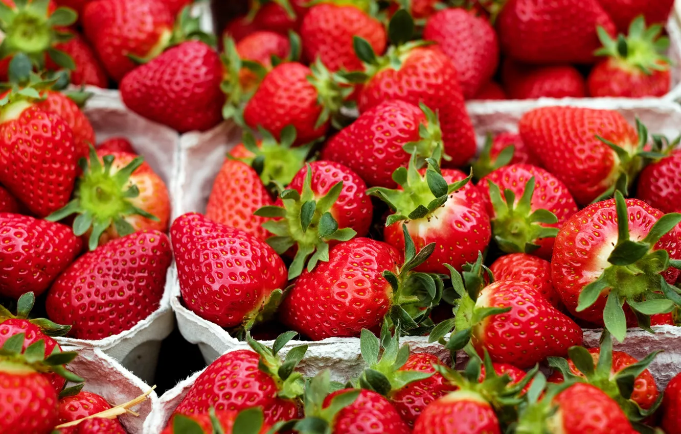 Photo wallpaper berries, food, harvest, strawberry, container, a lot, juicy