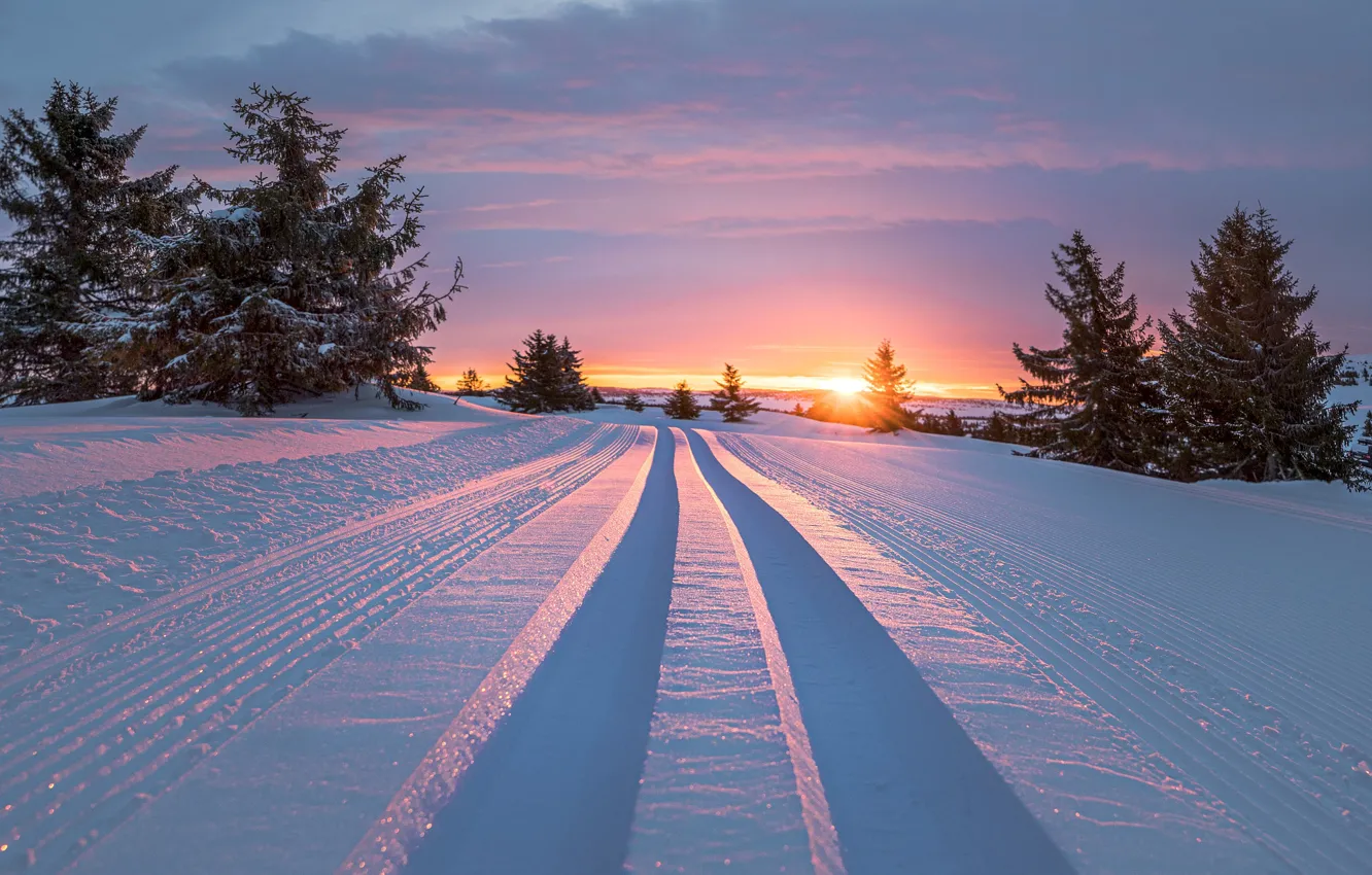 Photo wallpaper winter, road, the sun, snow, trees, sunset, tree, Jоrn Allan