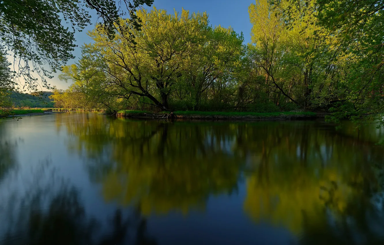 Photo wallpaper greens, trees, reflection, river, Wisconsin, Wisconsin, La Crosse River, The La Crosse River