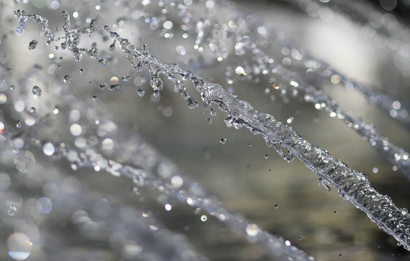 Photo wallpaper water, drops, macro, water, macro, bokeh, bokeh, drops