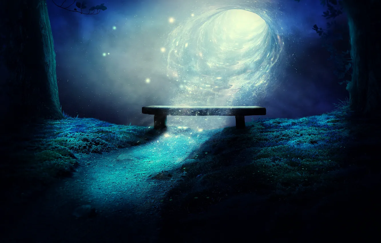 Photo wallpaper forest, light, trees, bench, night, fiction, glade, the portal