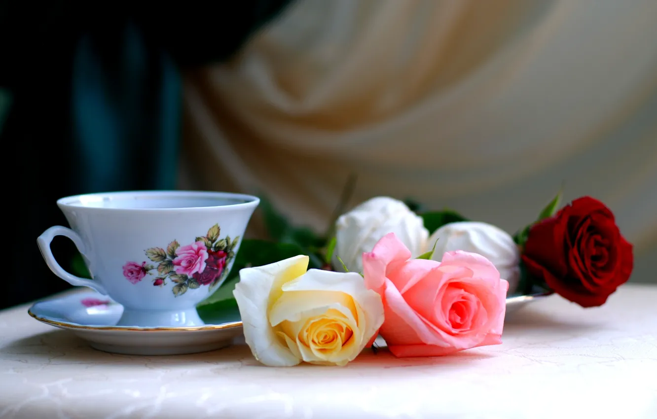Photo wallpaper roses, Cup, three, marshmallows