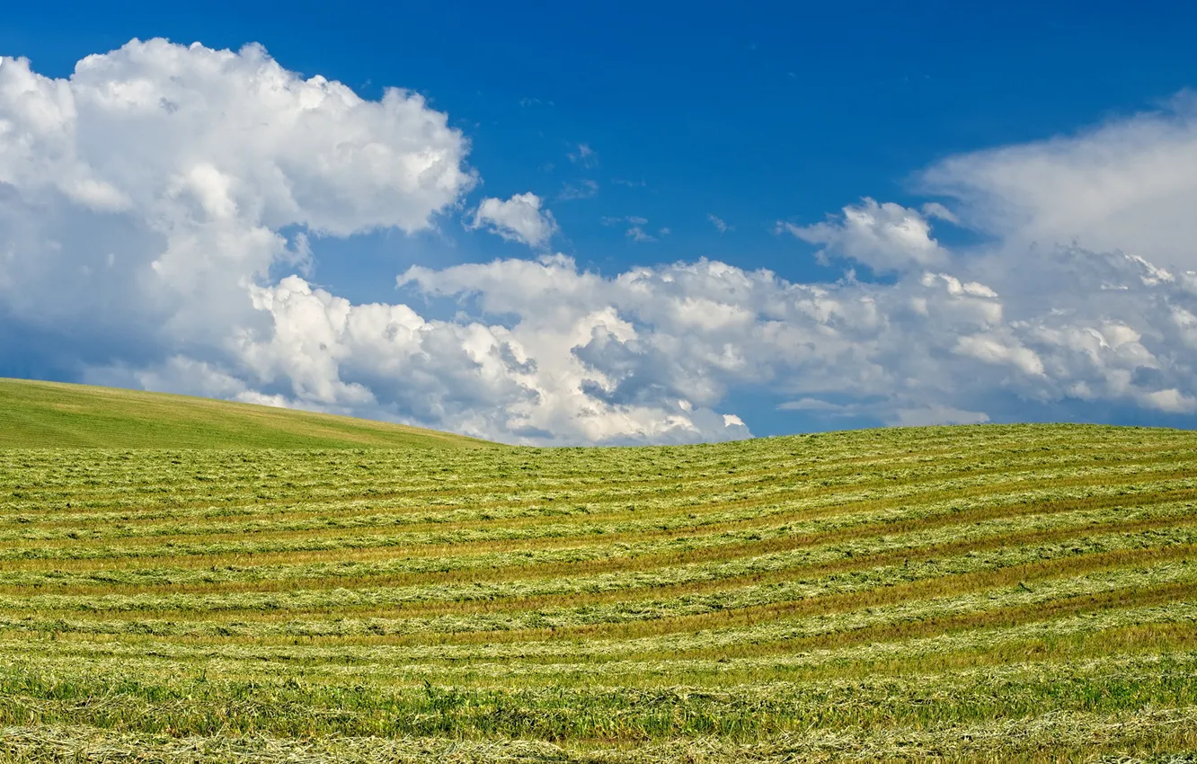 Photo wallpaper the sky, clouds, hills, field, Sunny, Washington, Walla Walla