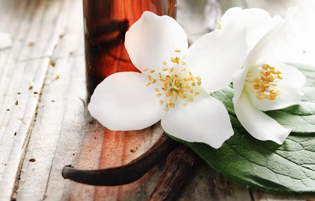 Photo wallpaper flowers, petals, spa