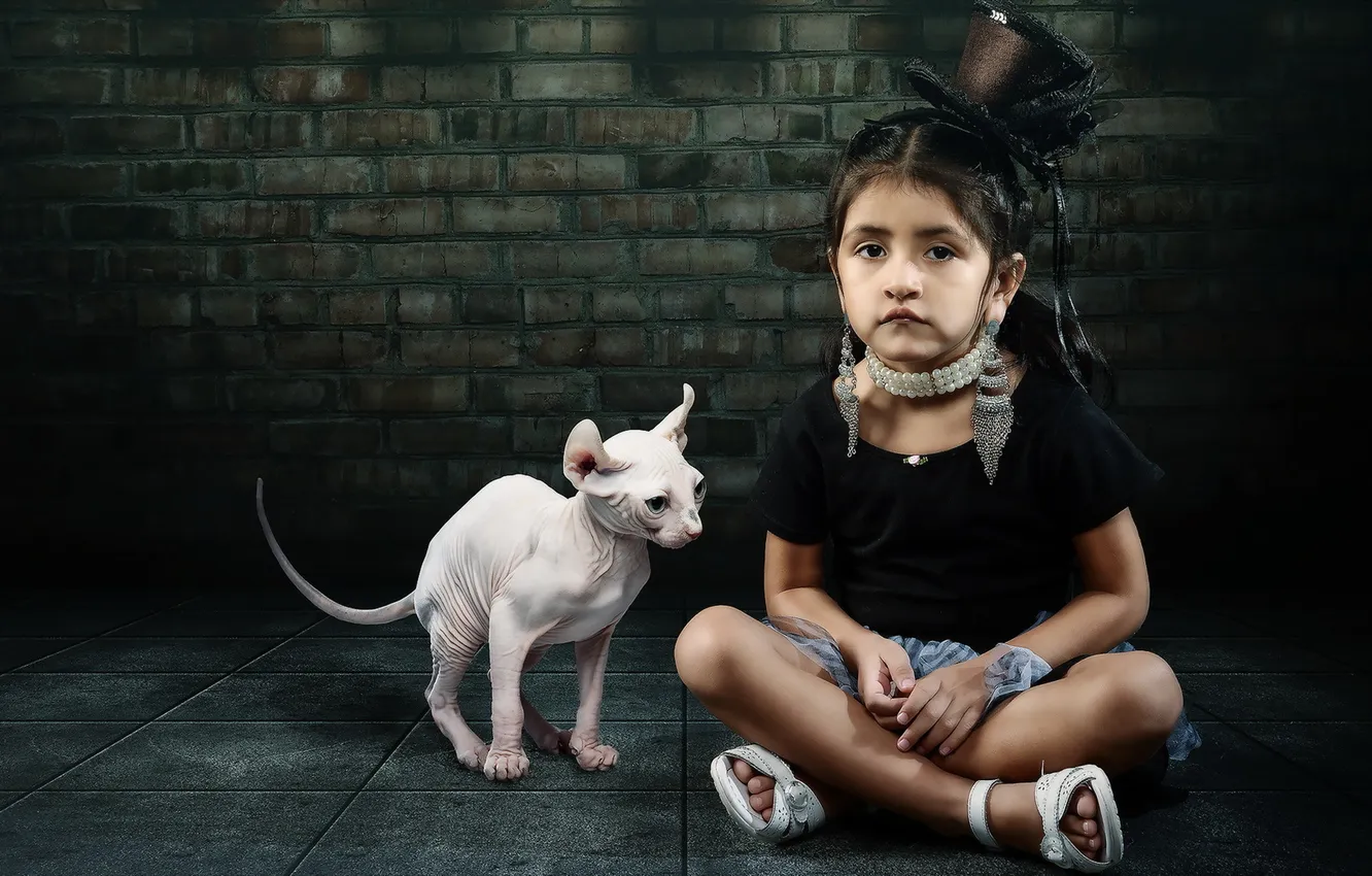 Photo wallpaper cat, look, girl