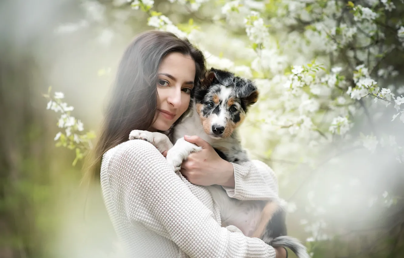 Photo wallpaper girl, dog, spring