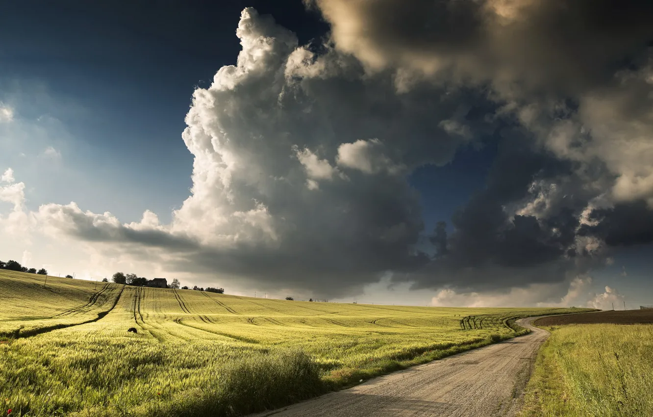 Photo wallpaper road, field, the sky, landscape