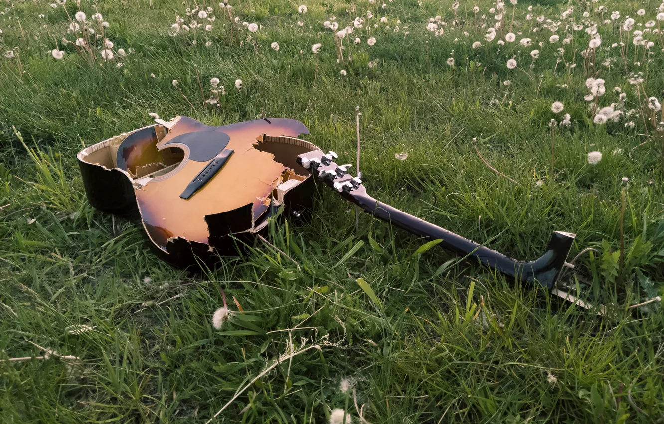 Photo wallpaper grass, orange, tree, dandelion, green, guitar, green, guitar