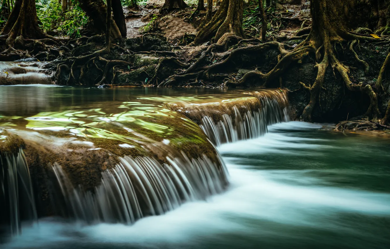 Photo wallpaper forest, landscape, river, rocks, waterfall, summer, forest, tropical