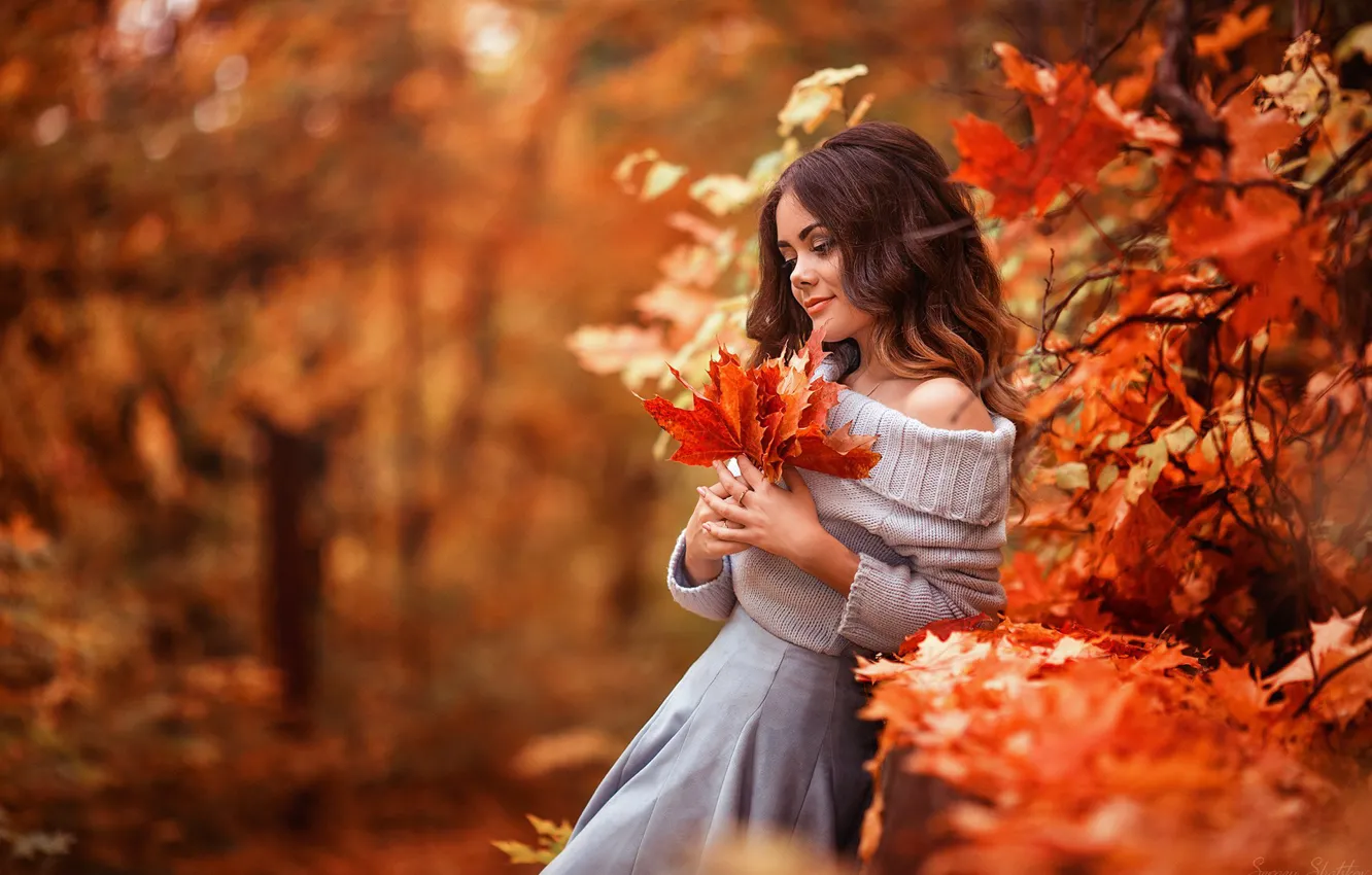 Photo wallpaper autumn, look, leaves, girl, nature, pose, Park, mood