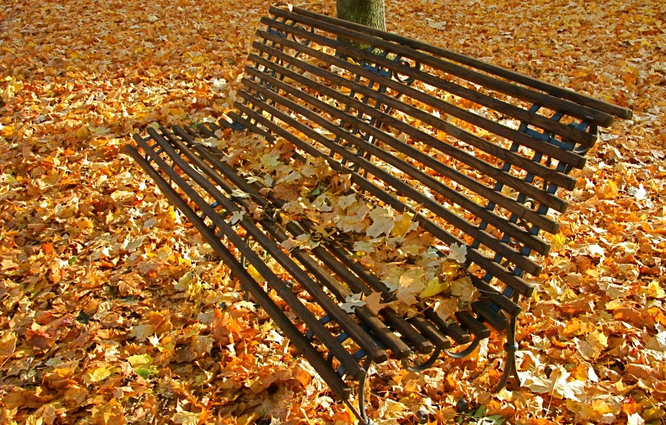 Photo wallpaper autumn, leaves, Park, square, bench