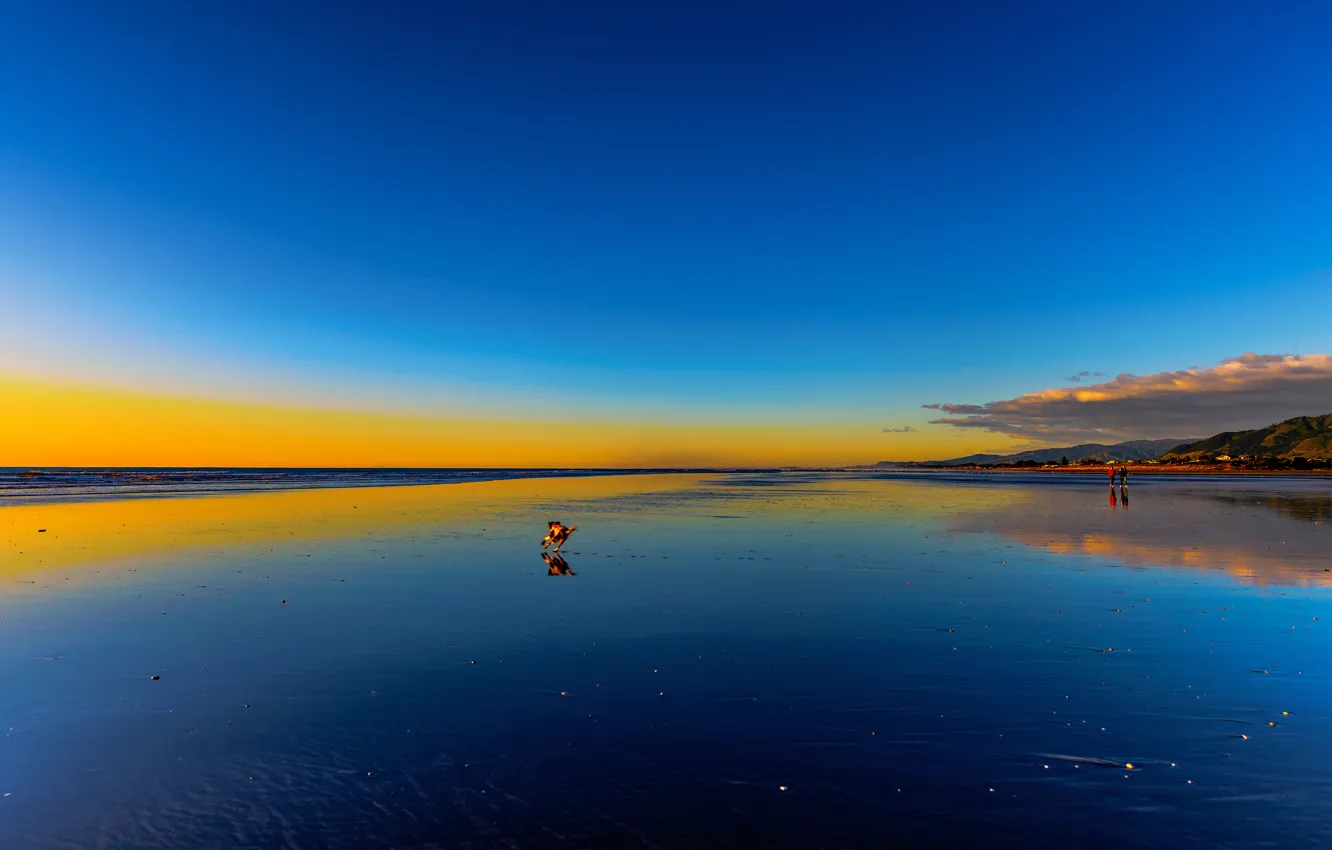 Photo wallpaper sea, the sky, clouds, people, paint, shore, dog, tide