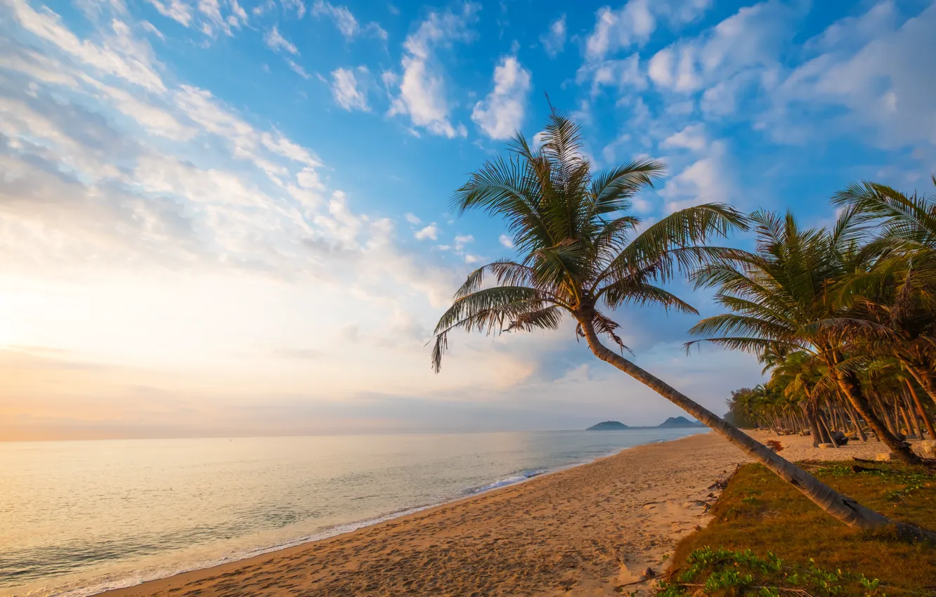 Photo wallpaper sea, beach, summer, tropics, palm trees