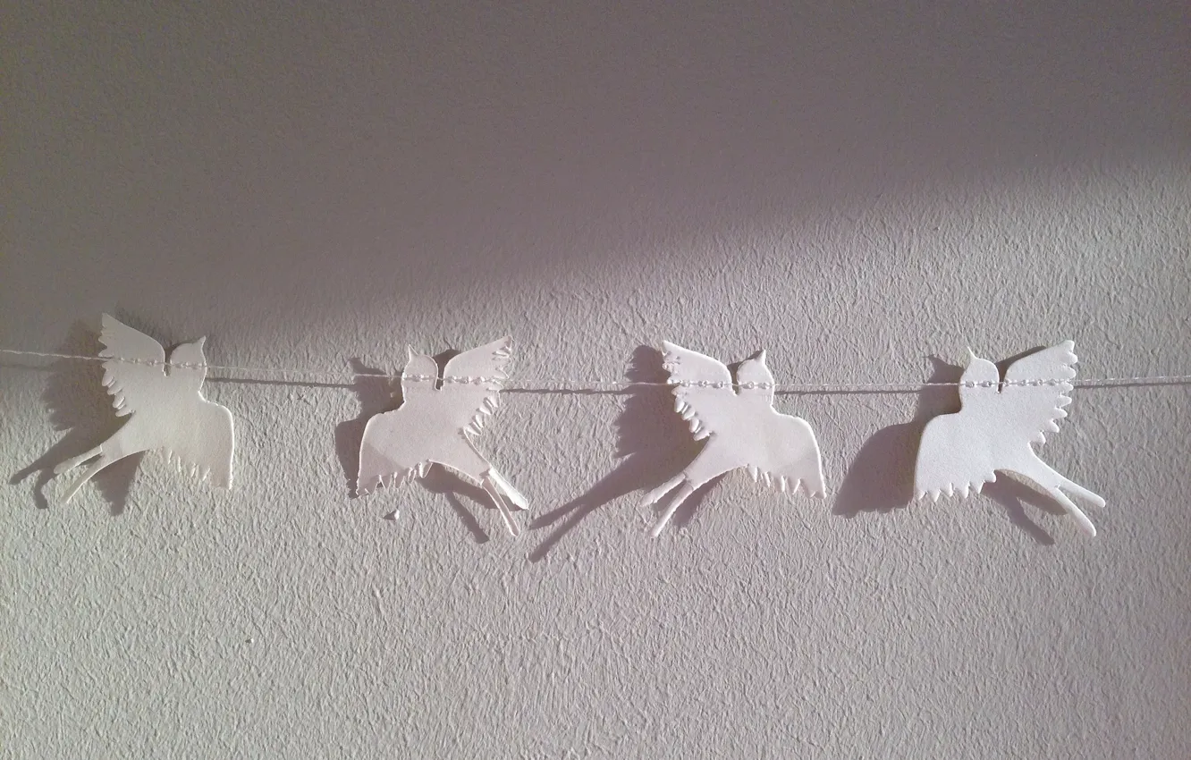 Photo wallpaper paper, background, bird