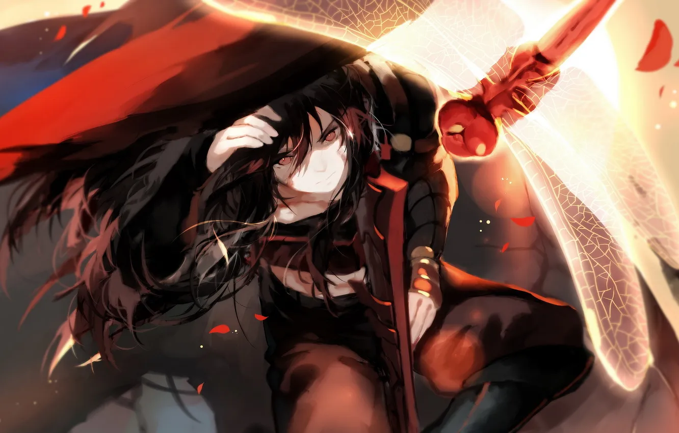 Photo wallpaper girl, weapons, anime, dragonfly, art, joseph lee