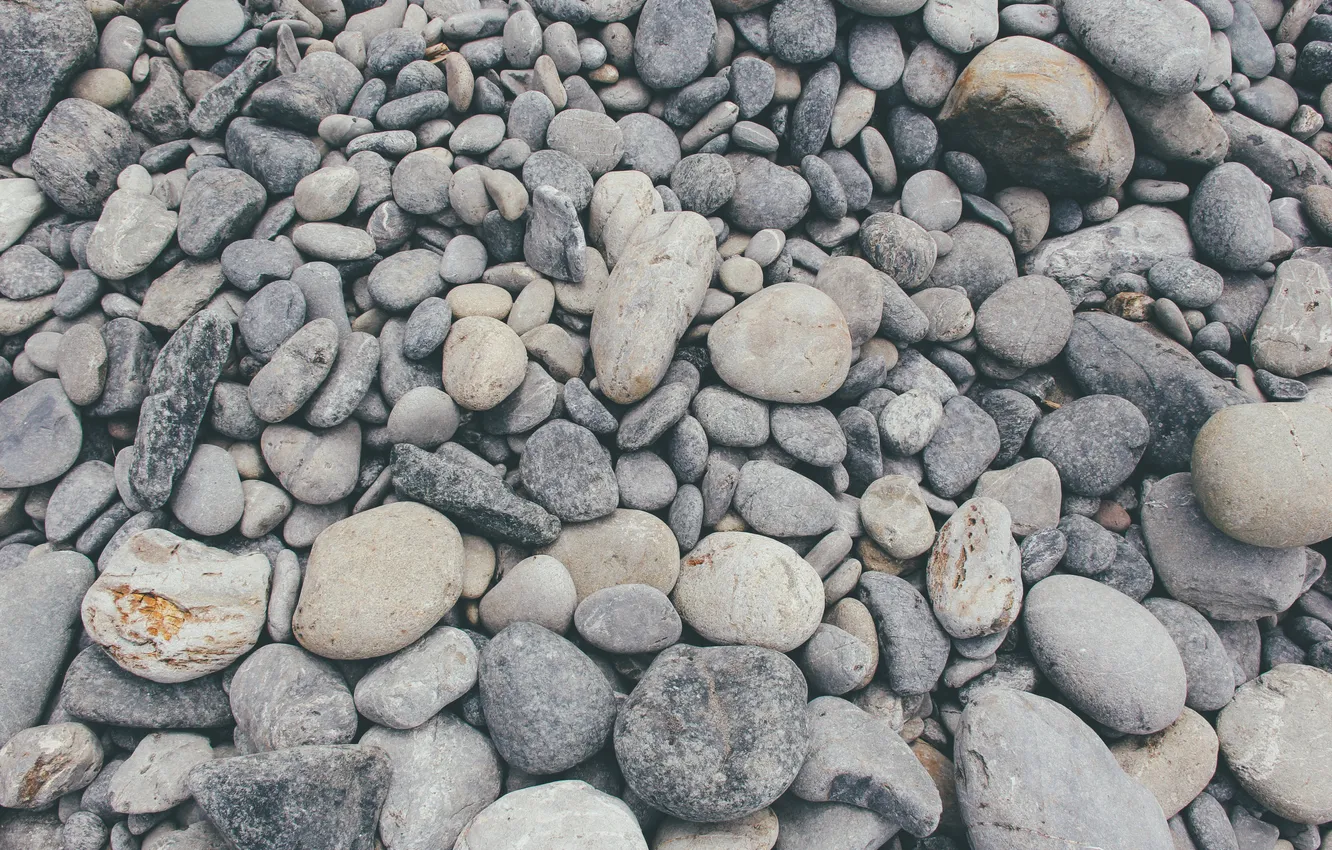 Photo wallpaper pebbles, stones, a lot