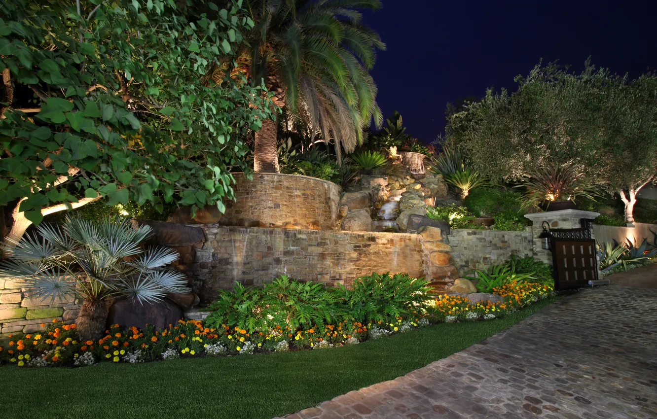 Photo wallpaper flowers, night, stream, stones, palm trees, lawn, garden, lights