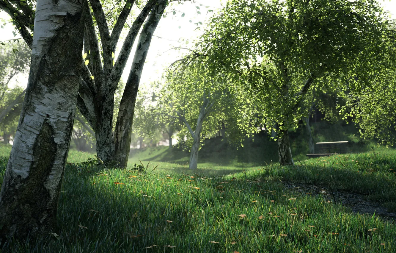 Photo wallpaper forest, grass, trees, thickets, birch