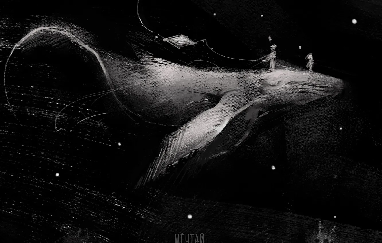 Photo wallpaper night, the city, kit, dreams, by Panda