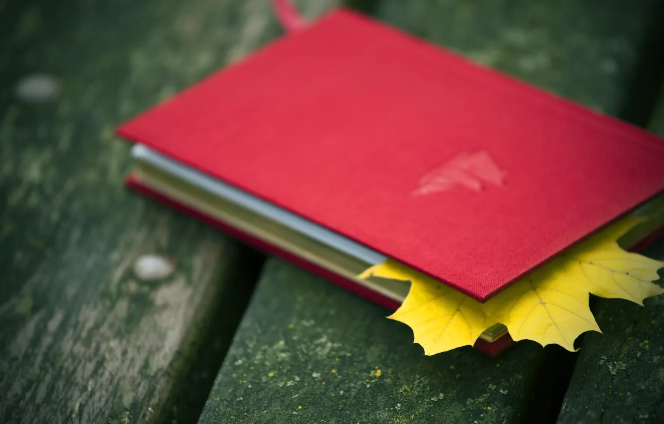Photo wallpaper autumn, leaves, red, leaf, page, BOOK.NOTEBOOK