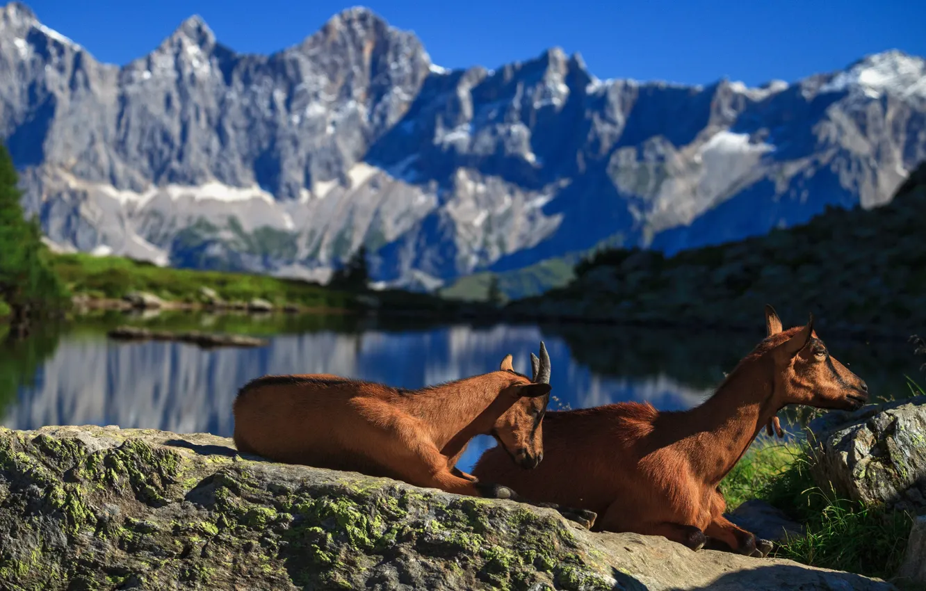 Photo wallpaper light, mountains, pose, blue, stones, shore, tops, two