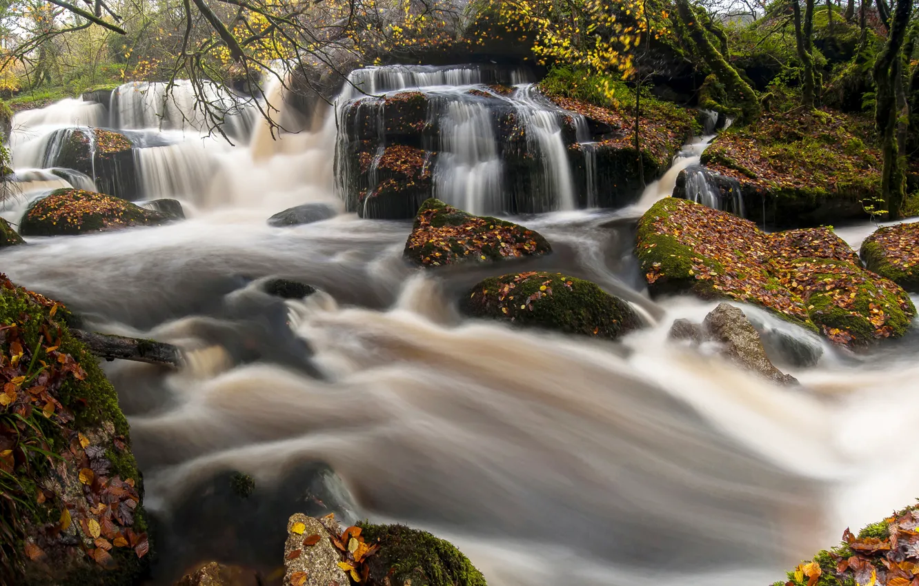 Photo wallpaper autumn, forest, river, stones, France, waterfalls, cascade, France
