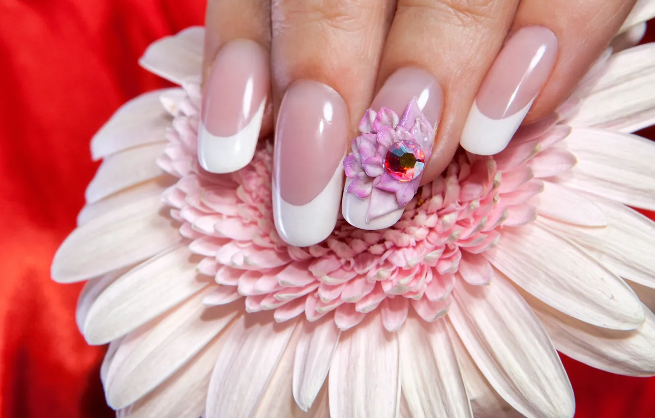 Photo wallpaper white, flower, macro, red, background, fingers, decoration, nails
