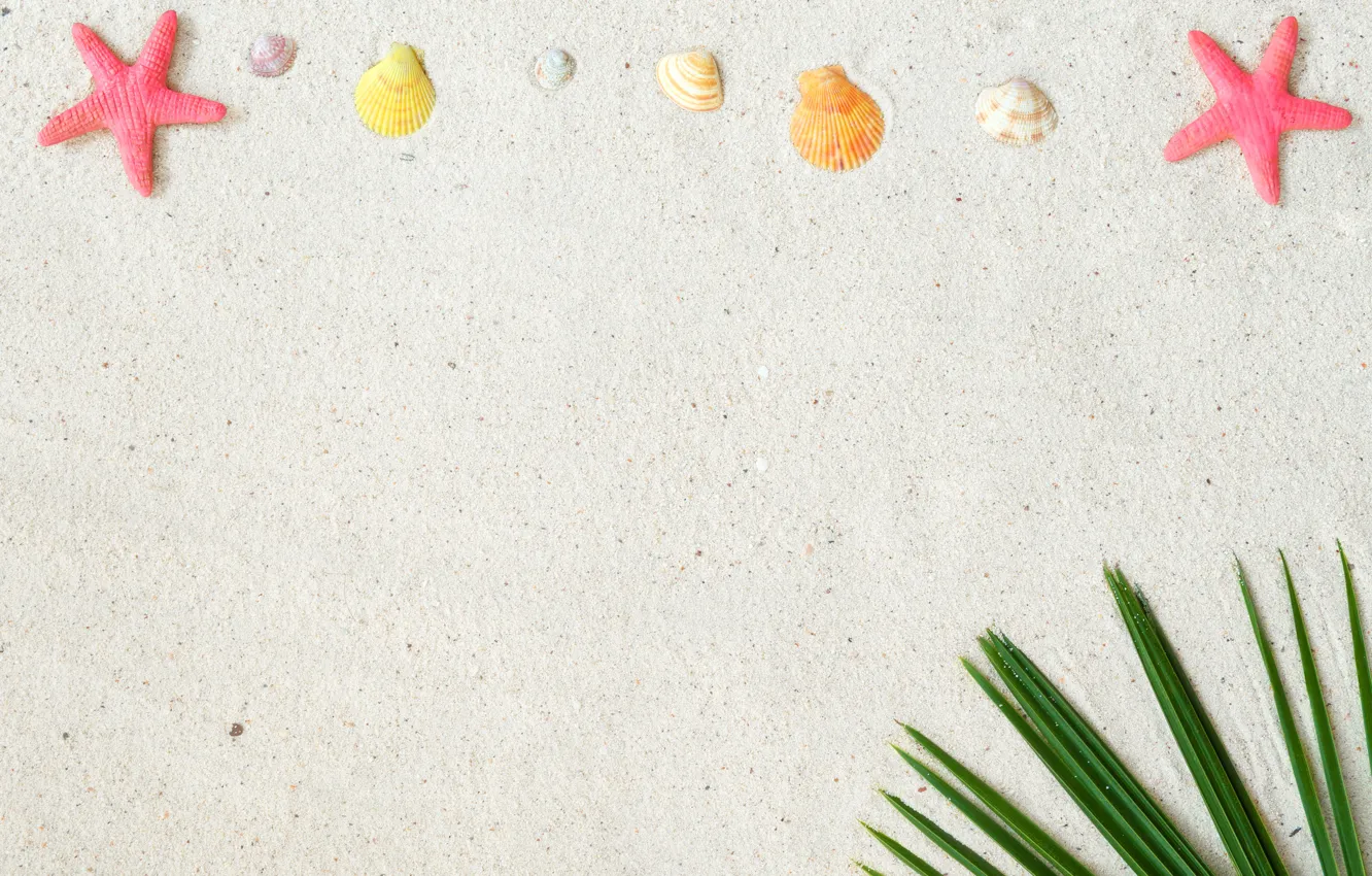 Photo wallpaper sand, beach, stars, background, shell, summer, beach, sand