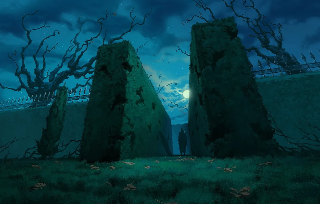 Photo wallpaper leaves, night, the moon, figure, maze, the bushes