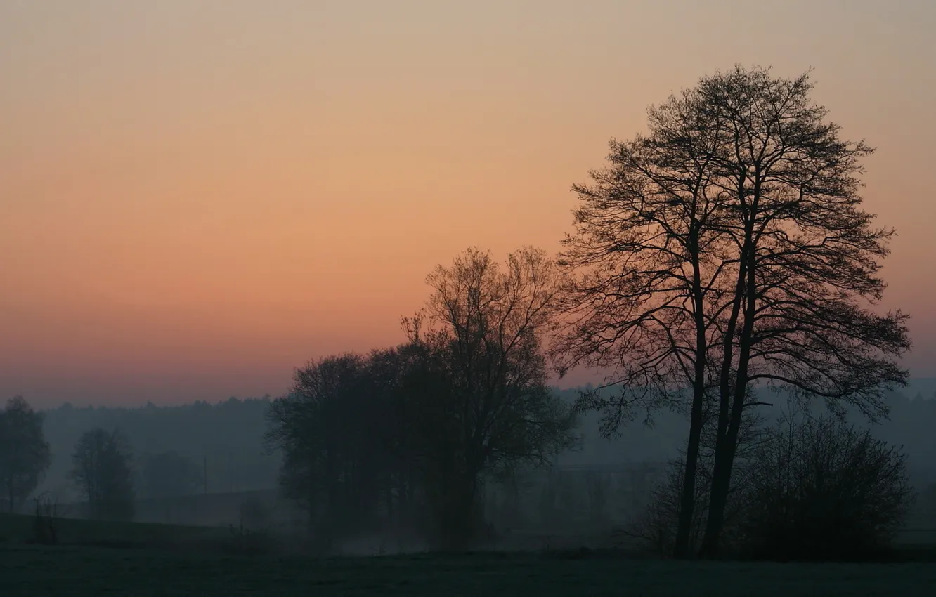 Photo wallpaper the sky, trees, landscape, sunset, nature, fog, nature