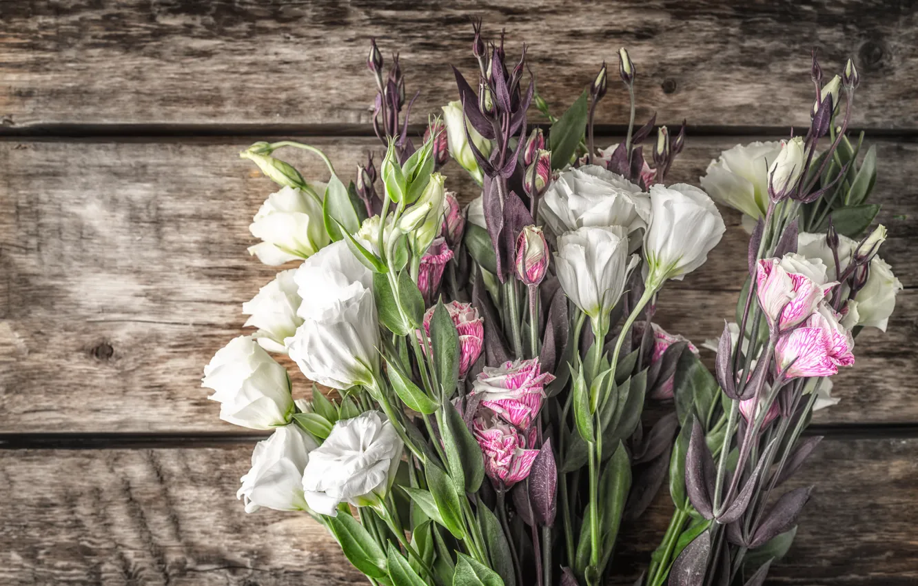 Photo wallpaper flowers, bouquet, buds, eustoma