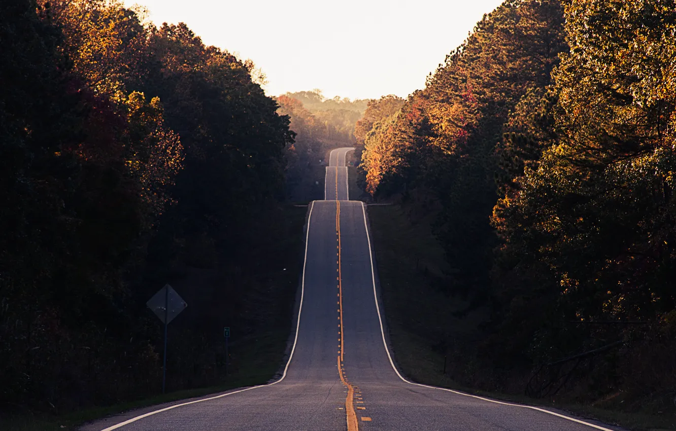 Photo wallpaper road, autumn, forest, asphalt, highway, forest, Valley, road