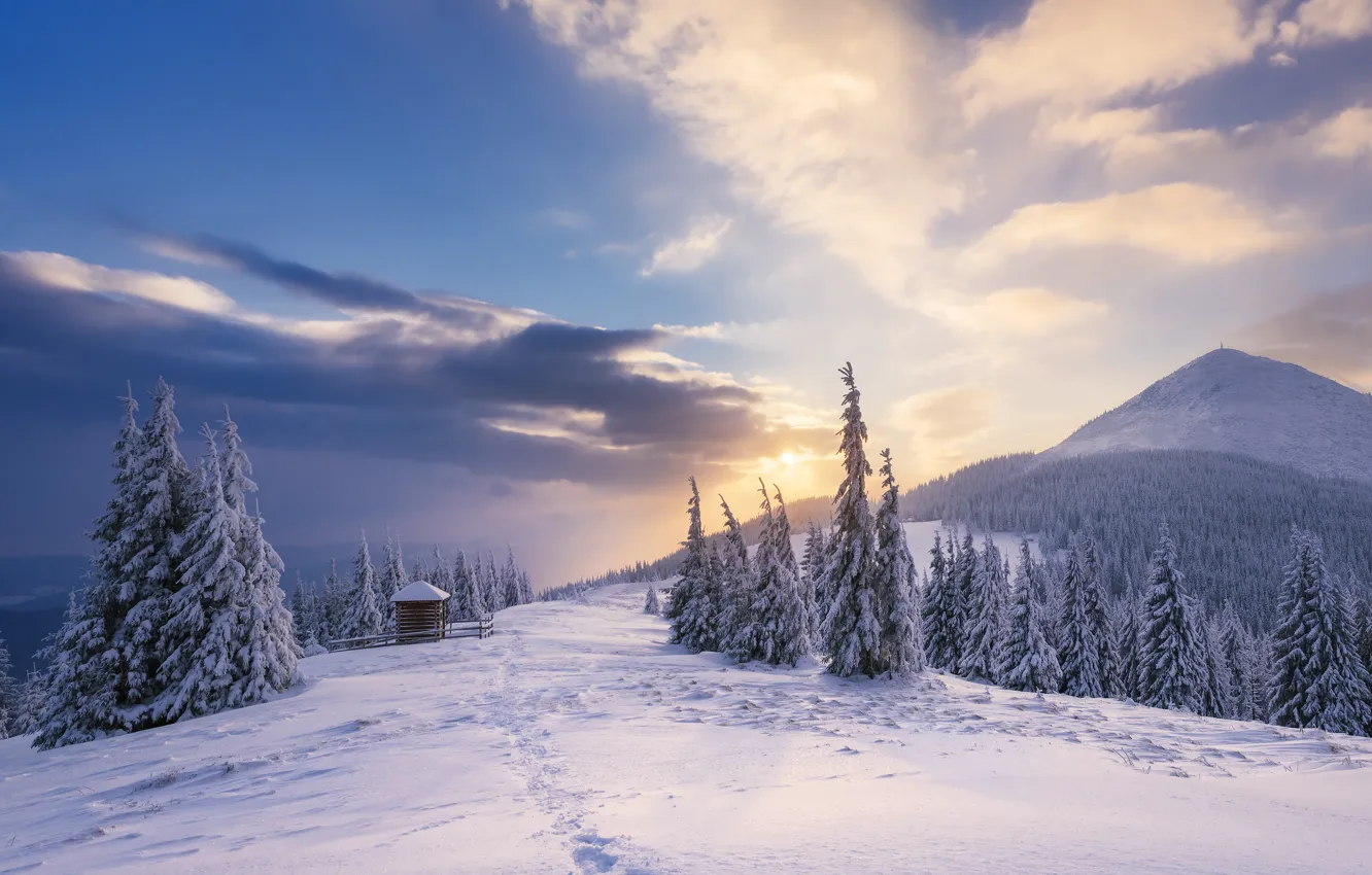 Photo wallpaper winter, forest, the sky, the sun, clouds, snow, landscape, mountains