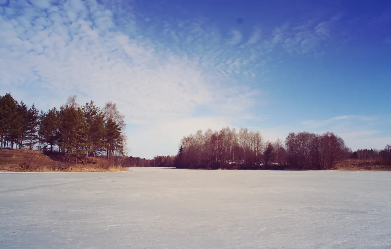 Photo wallpaper ice, forest, the sky, clouds, trees, nature, lake