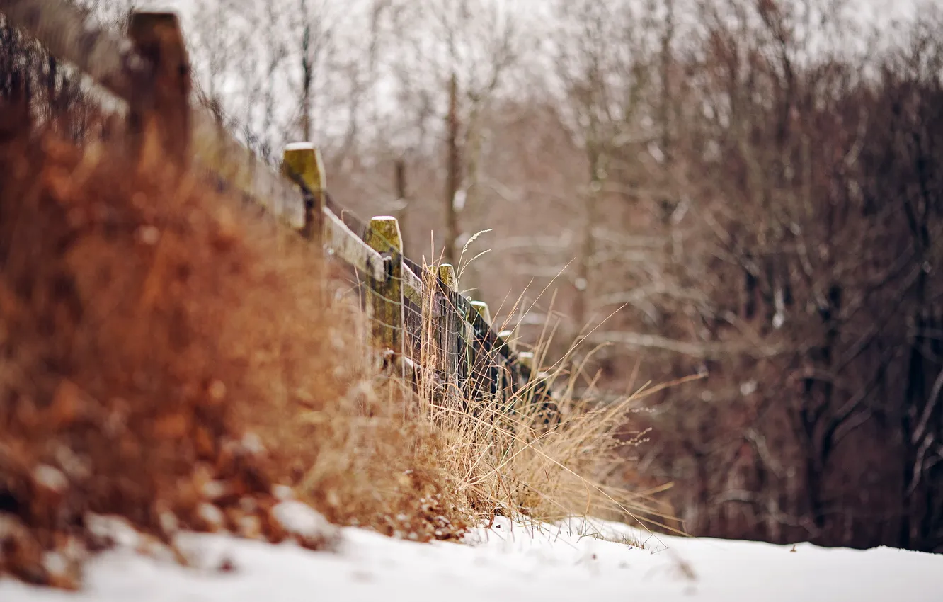 Photo wallpaper winter, snow, the fence