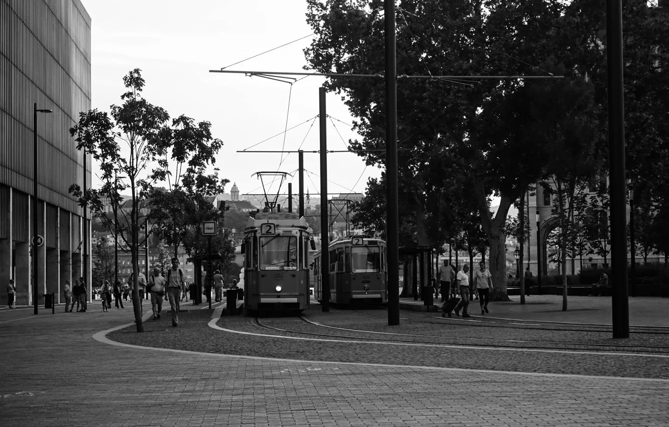 Photo wallpaper the city, people, Europe, tram, Budapest, Black and white, rangaroa
