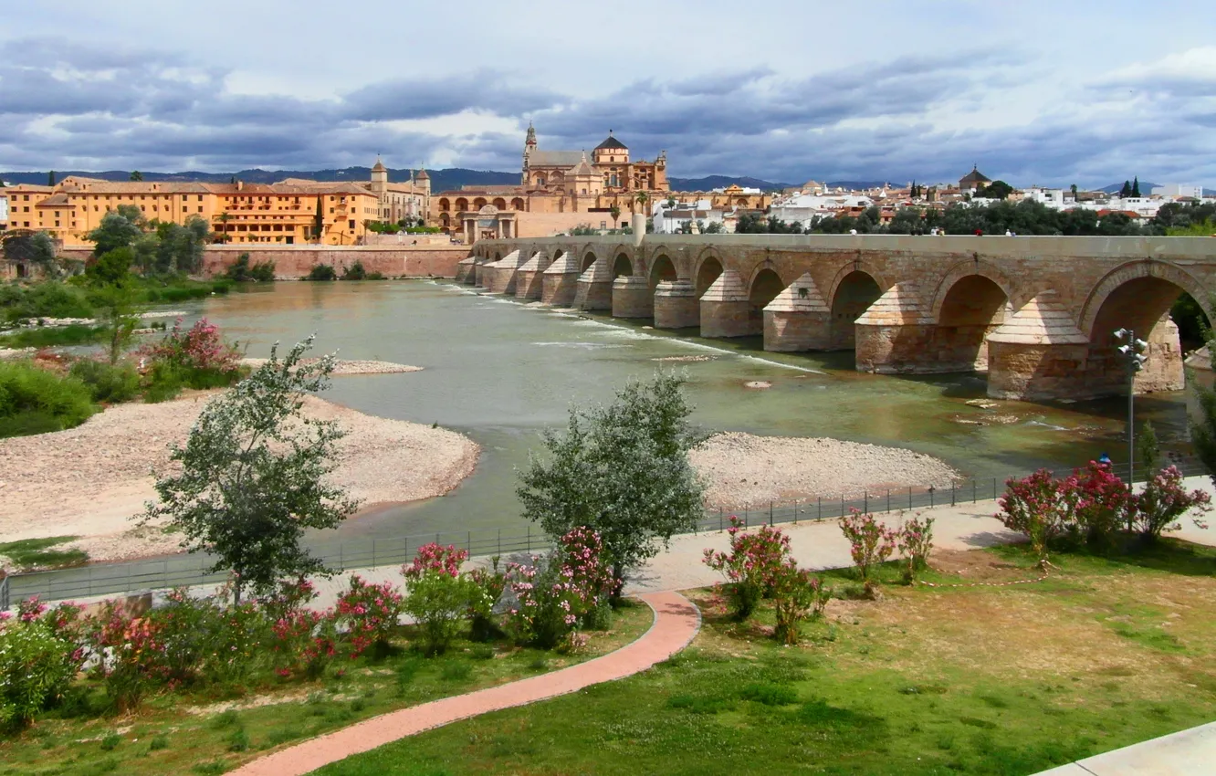 Photo wallpaper trees, flowers, Spain, promenade, the bushes, Andalusia, Cordoba, Cordoba