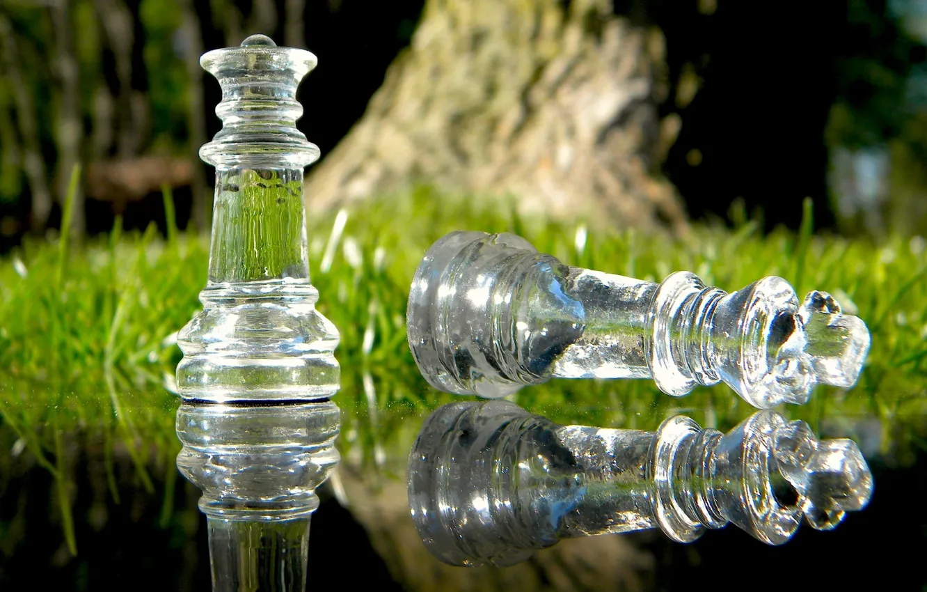 Photo wallpaper grass, glass, water, macro, nature, reflection, the game, chess