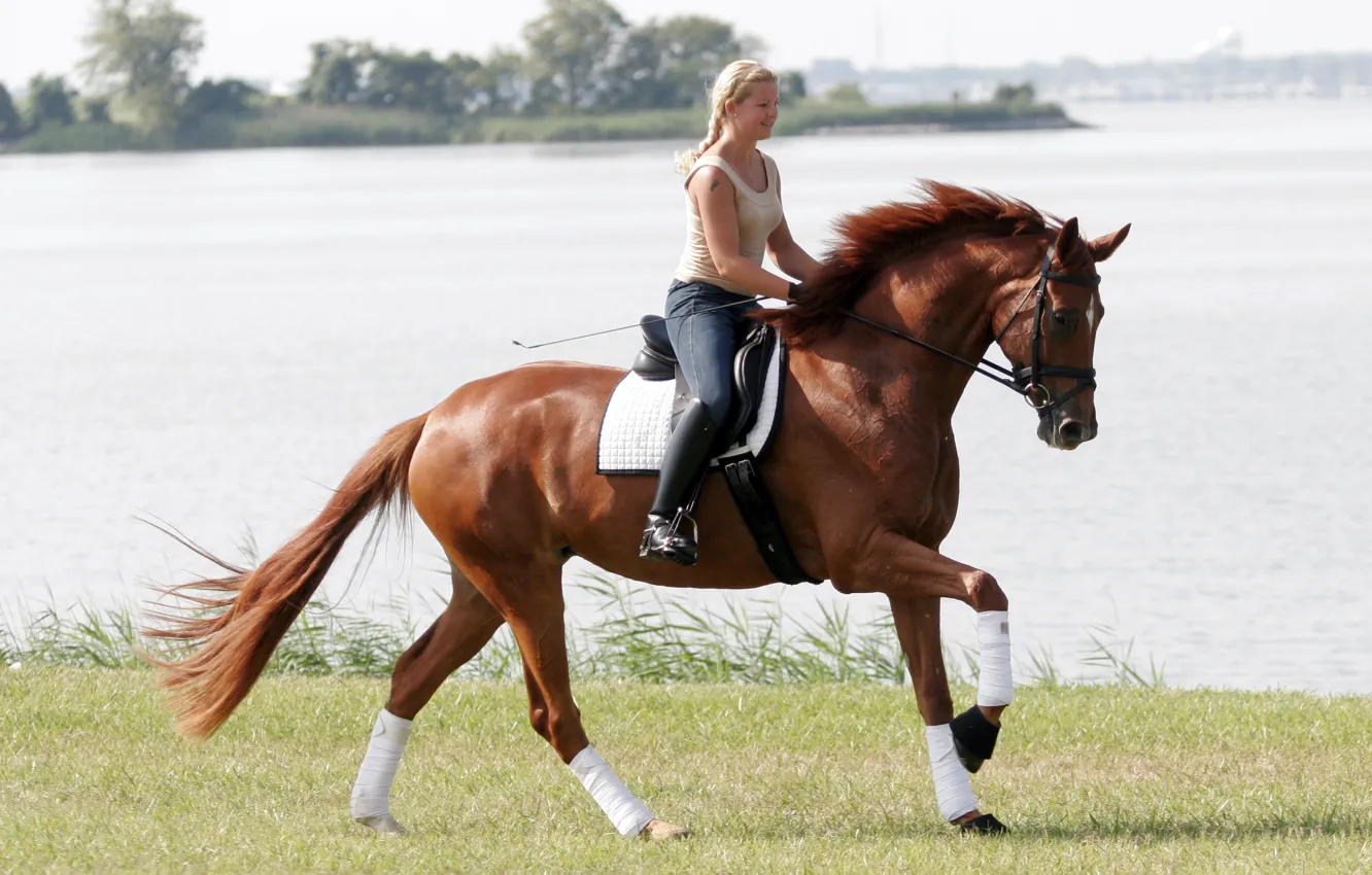 Photo wallpaper girl, horse, sports