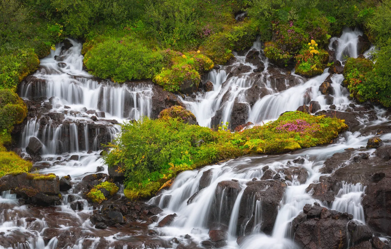 Photo wallpaper waterfalls, cascade, Iceland, Iceland, Hraunfossar, Hraunfossar