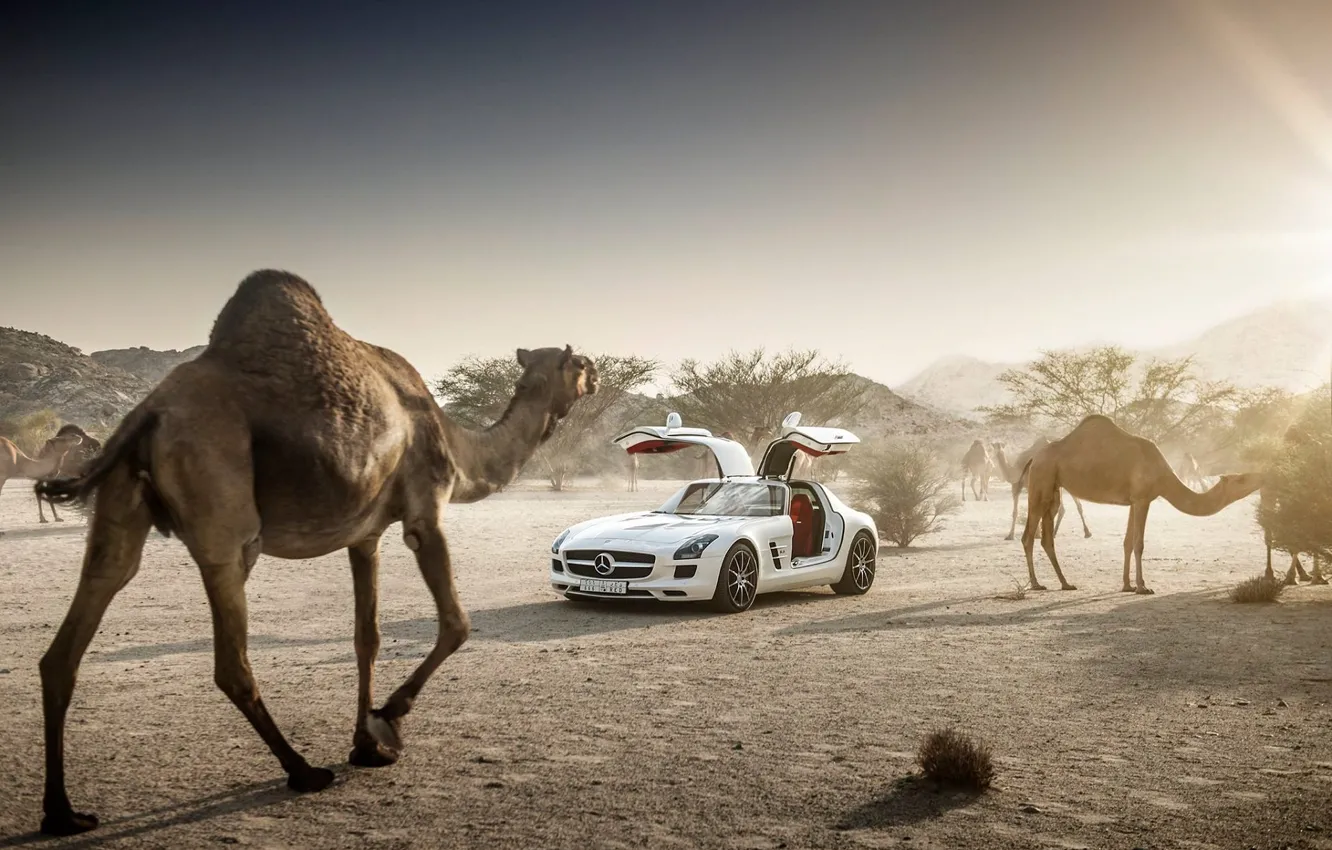 Photo wallpaper Mercedes-Benz, Sky, AMG, Sun, SLS, White, Supercar, Desert