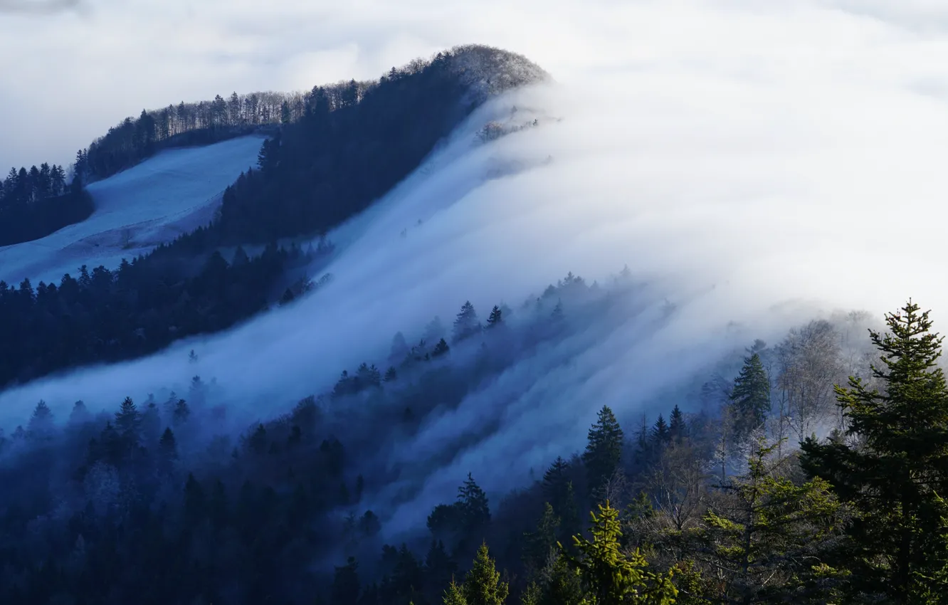 Photo wallpaper winter, forest, the sun, snow, trees, fog, mountain, Switzerland