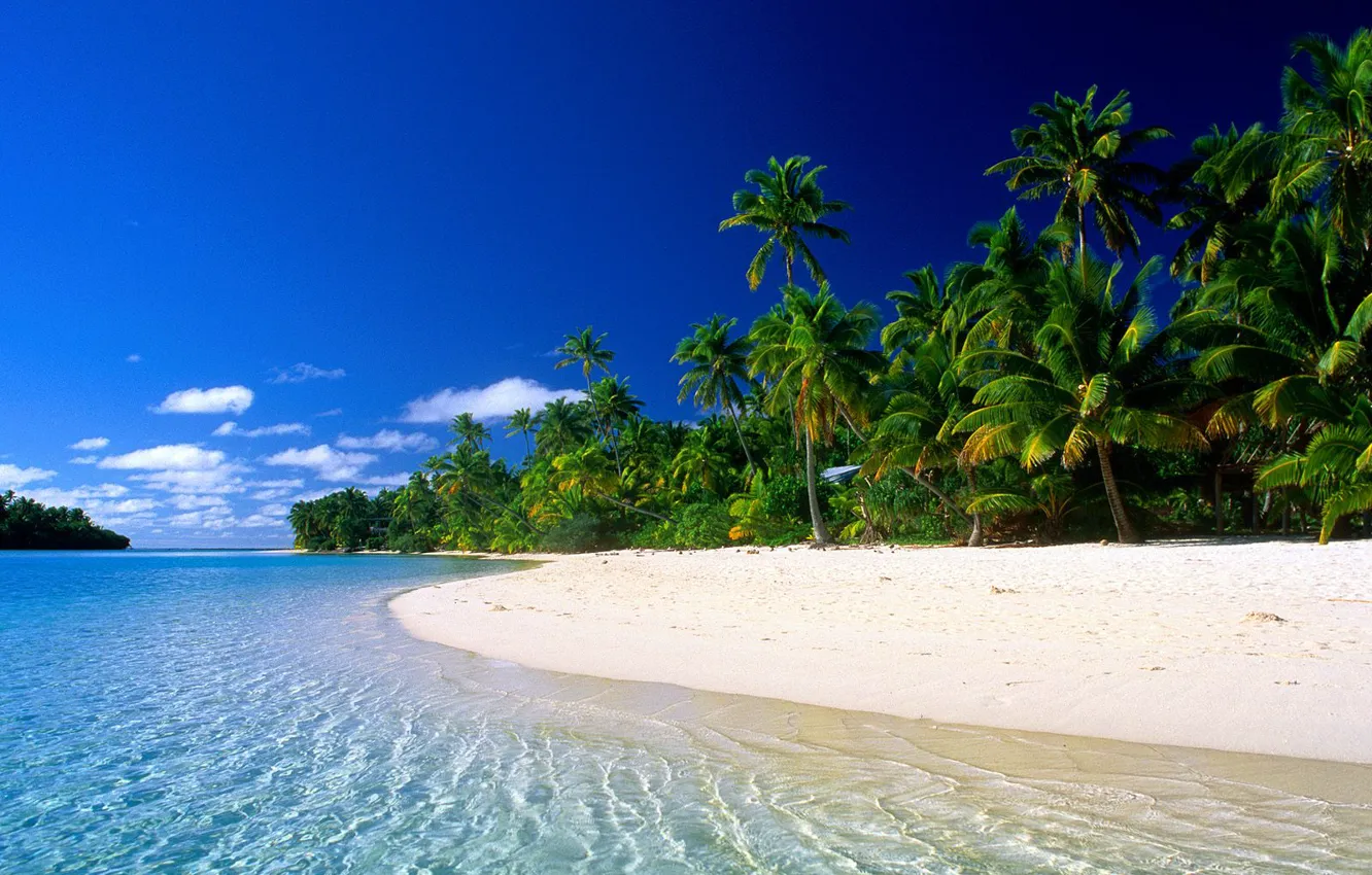Photo wallpaper wave, palm trees, shore