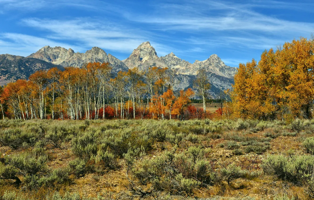 Photo wallpaper autumn, trees, landscape, mountains