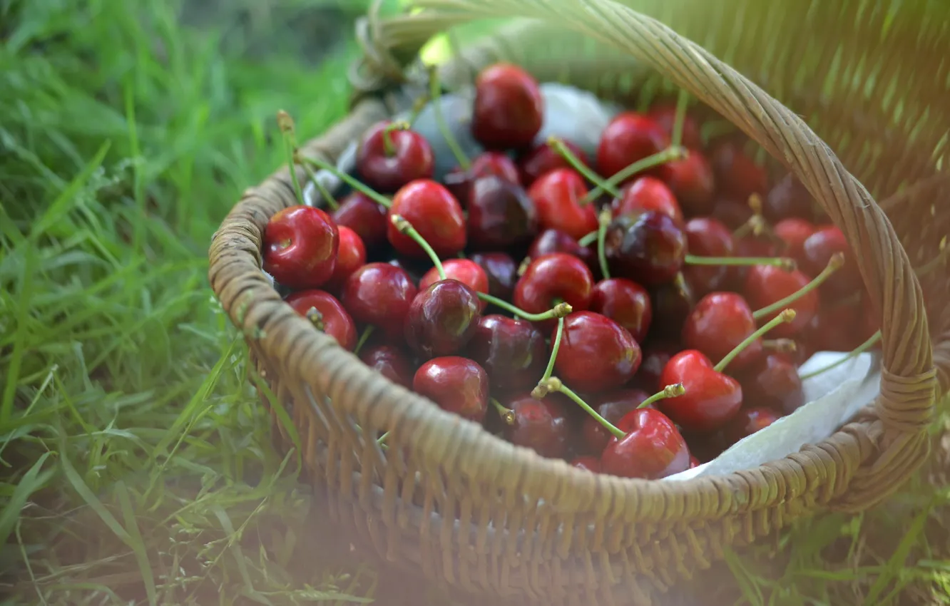 Photo wallpaper berries, basket, cherry