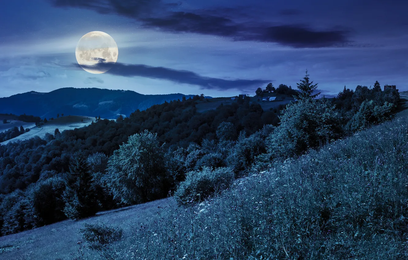 Photo wallpaper forest, the sky, trees, mountains, night, the moon, stars, houses