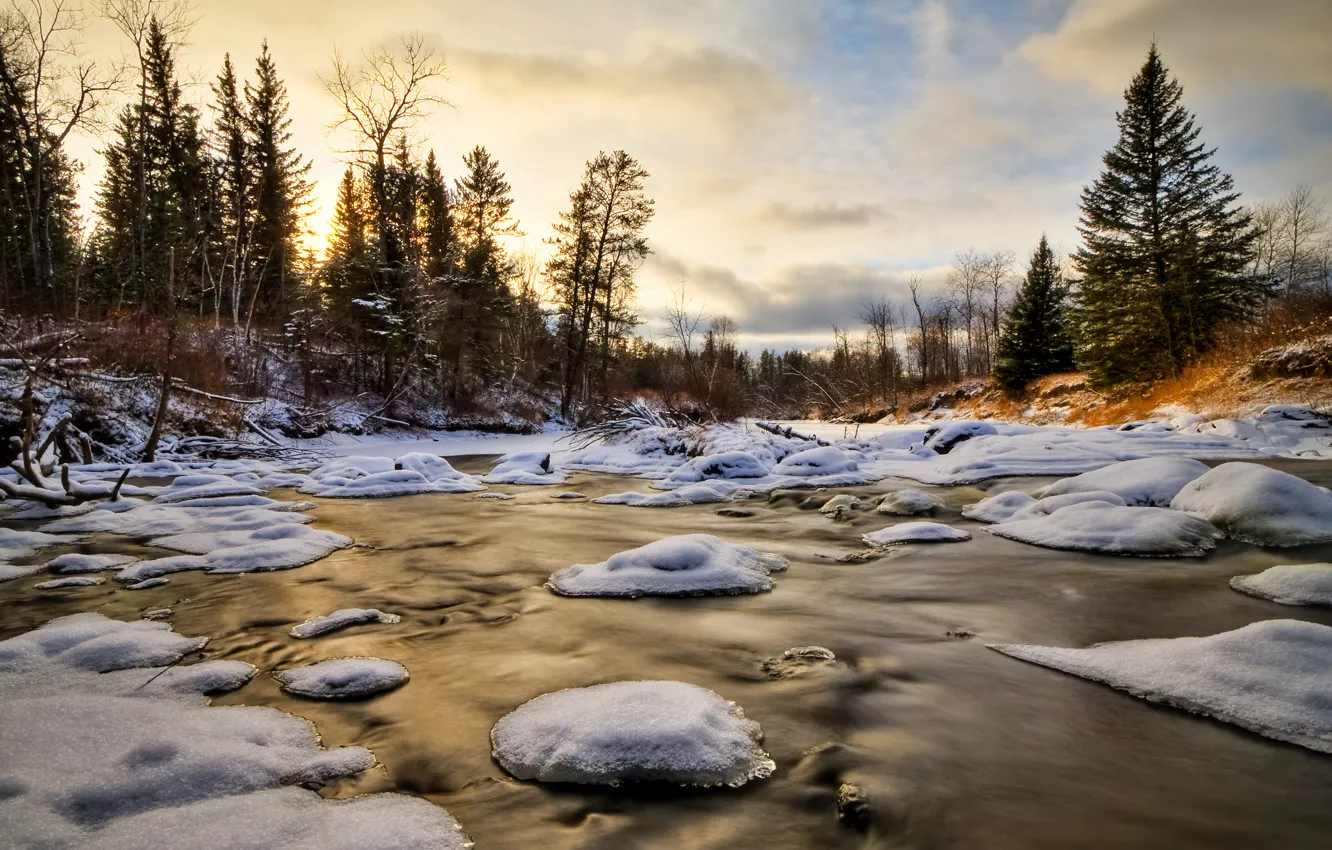Photo wallpaper ice, winter, forest, water, snow, trees