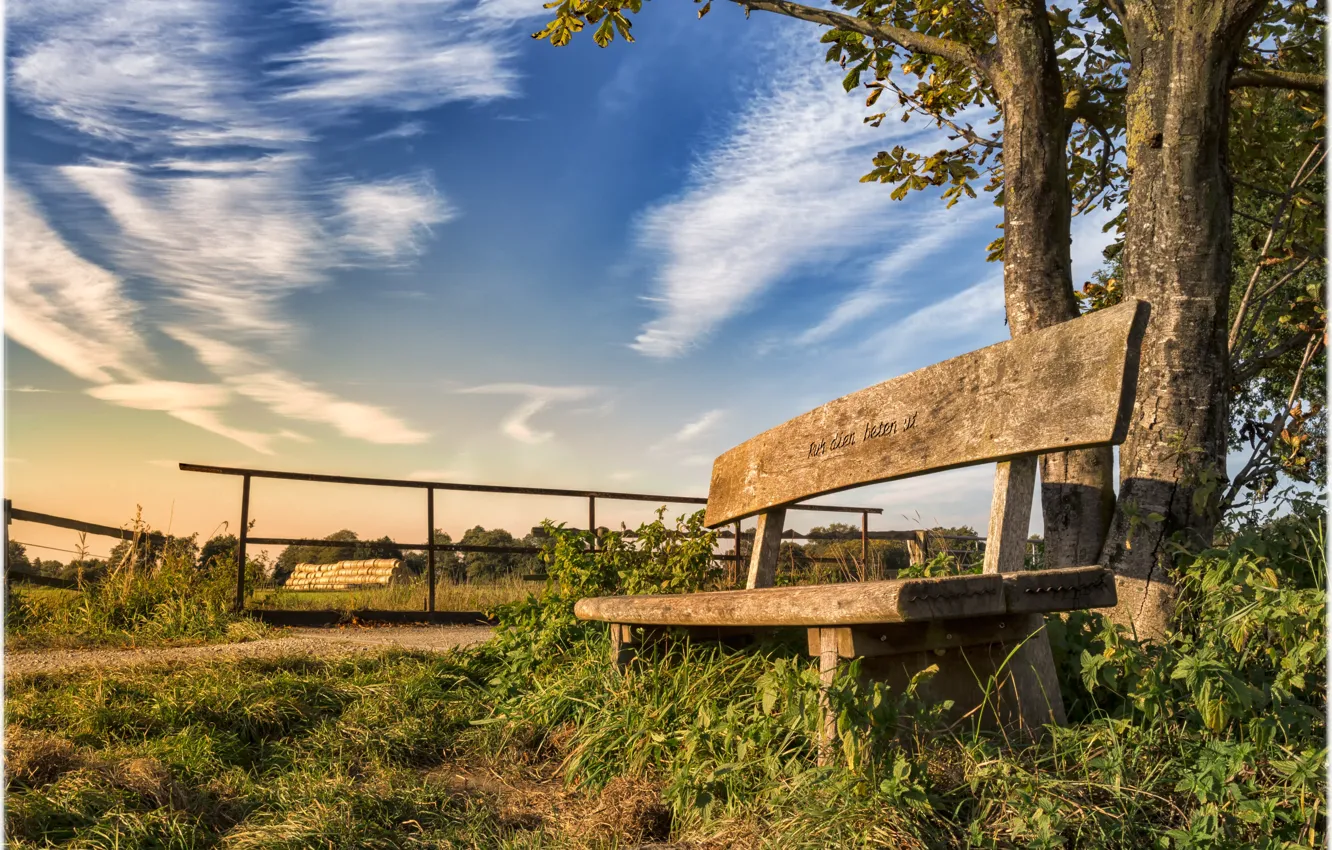 Photo wallpaper summer, the sky, clouds, tree, bench