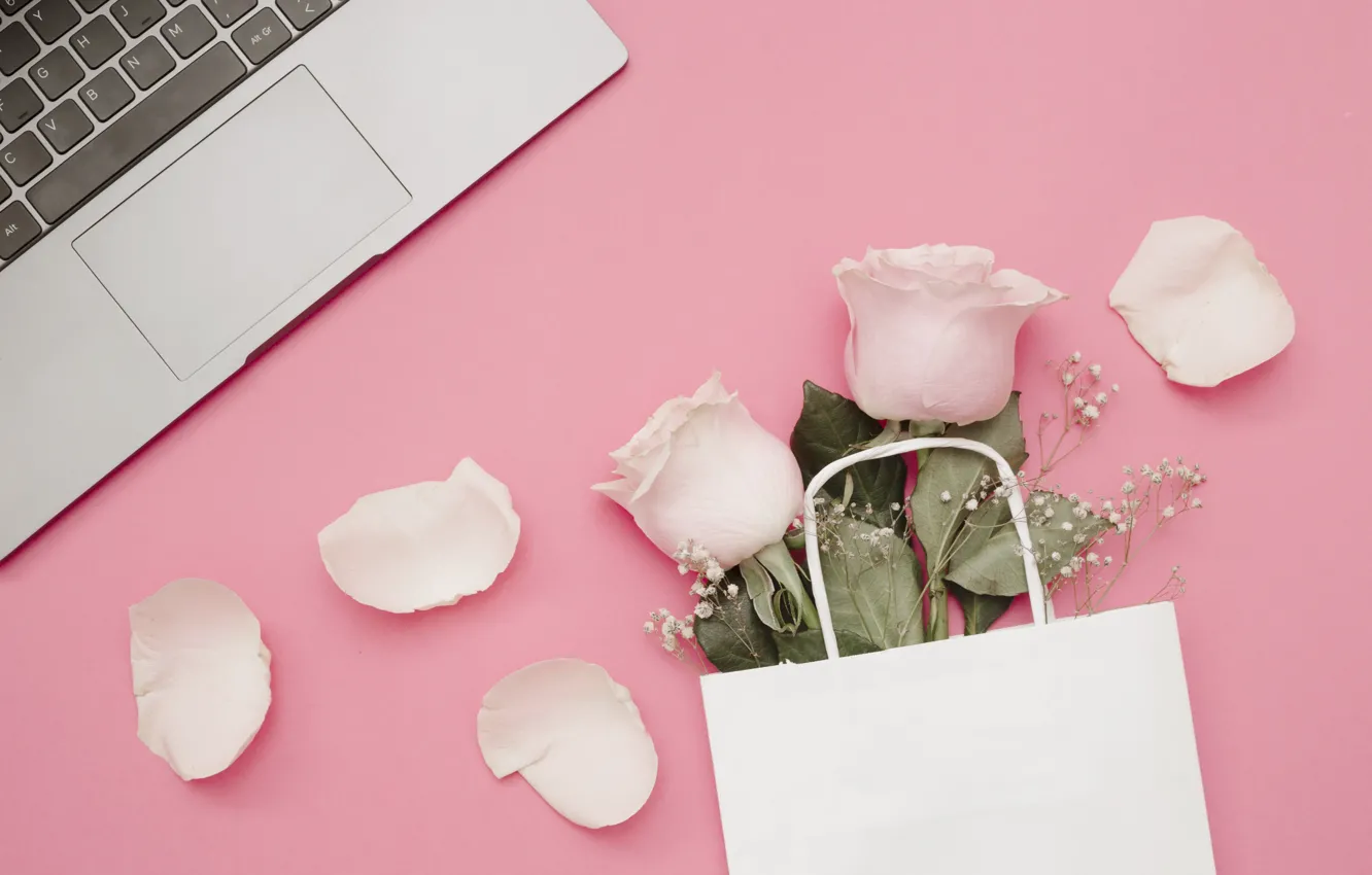 Photo wallpaper flowers, background, pink, roses, petals, laptop, pink, flowers