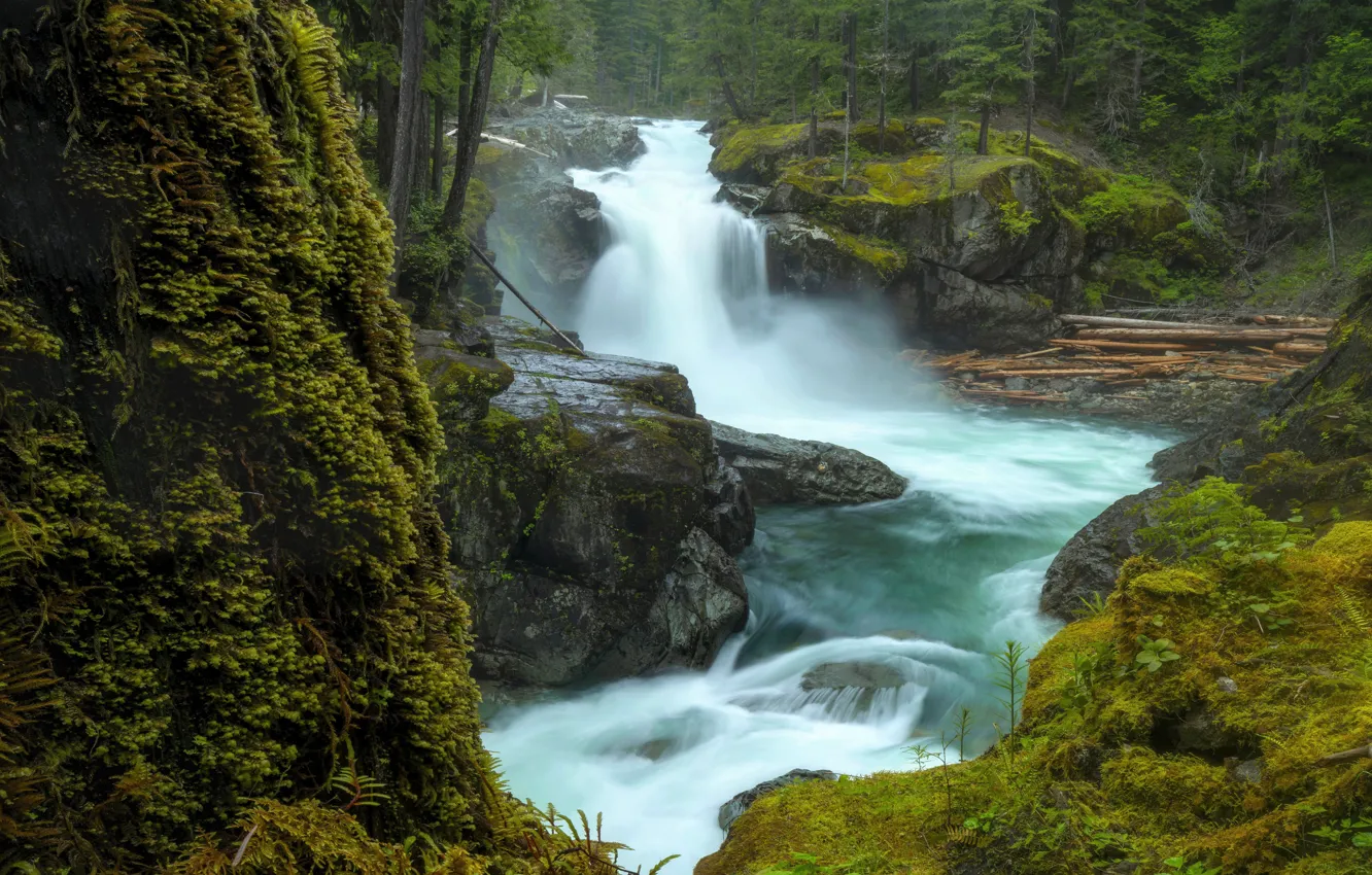 Photo wallpaper forest, shore, for, waterfall